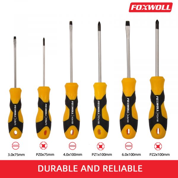Hand Tool 6pcs Slotted and Phillips Screwdriver Set- foxwoll